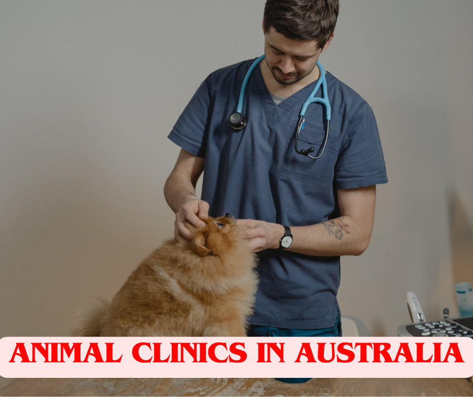 animal clinics in Australia